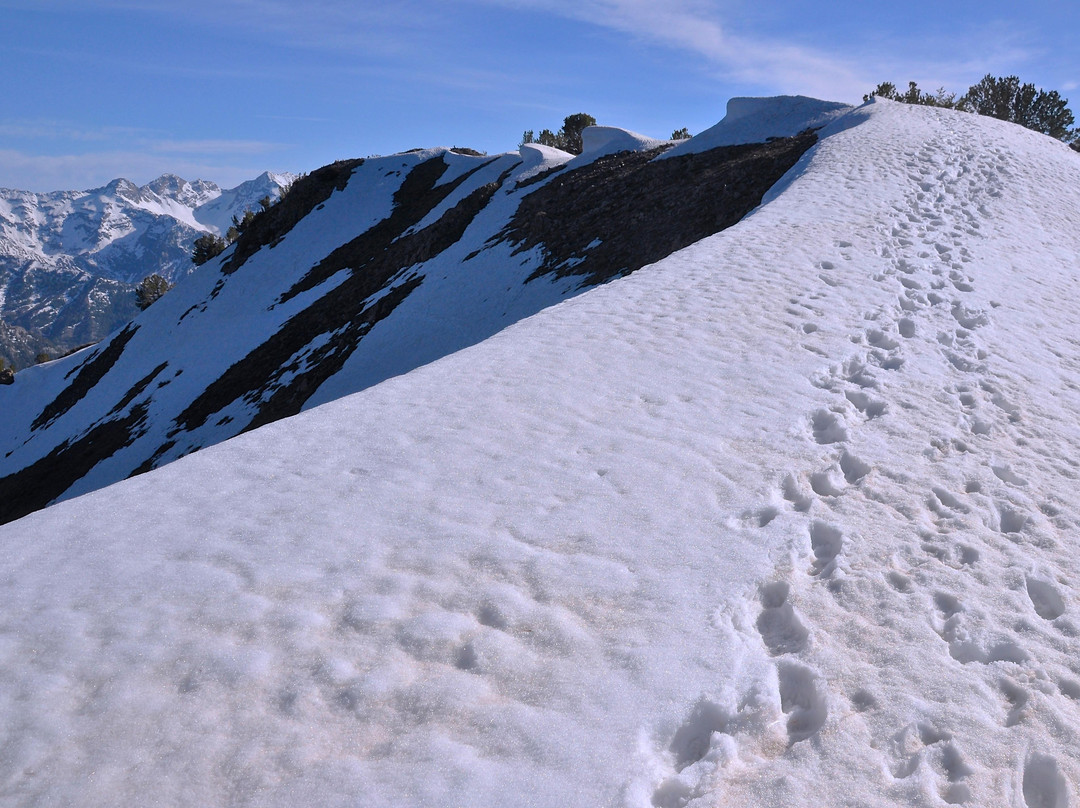 大三叶杨峡谷-盐湖城必去景点