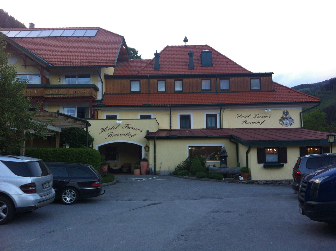 Hotel Rosenhof Murau主图