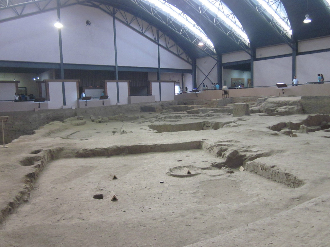 西安半坡博物馆-西安市必去景点