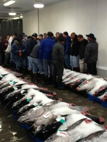 火奴鲁鲁鲜鱼拍卖会-火奴鲁鲁必去景点