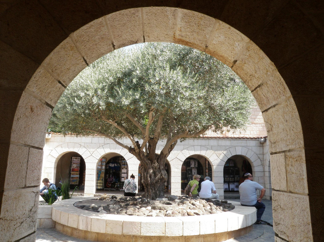 Church of the Multiplication-Tabgha必去景点
