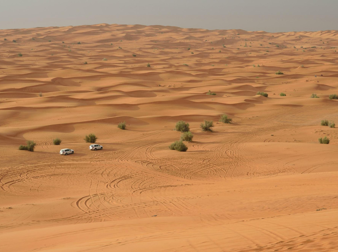 Best Desert Safari Dubai-迪拜必去景点