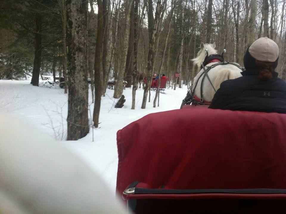 Gentle Giants Sleigh and Carriage Rides-斯托必去景点