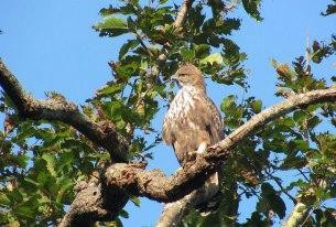 Jawahar Resort主图