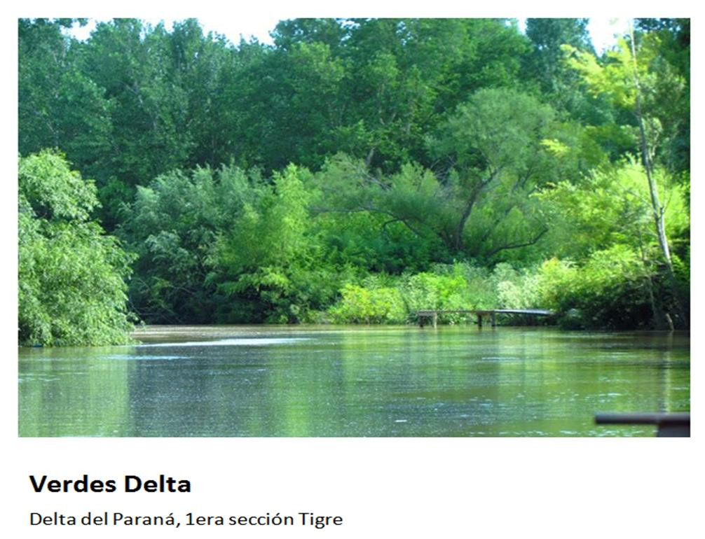 El Delta Gourmet景点图片