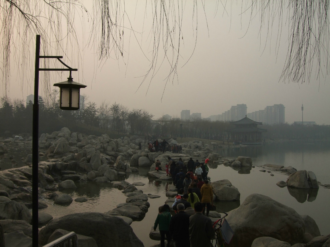 西安曲江遗址公园-西安市必去景点