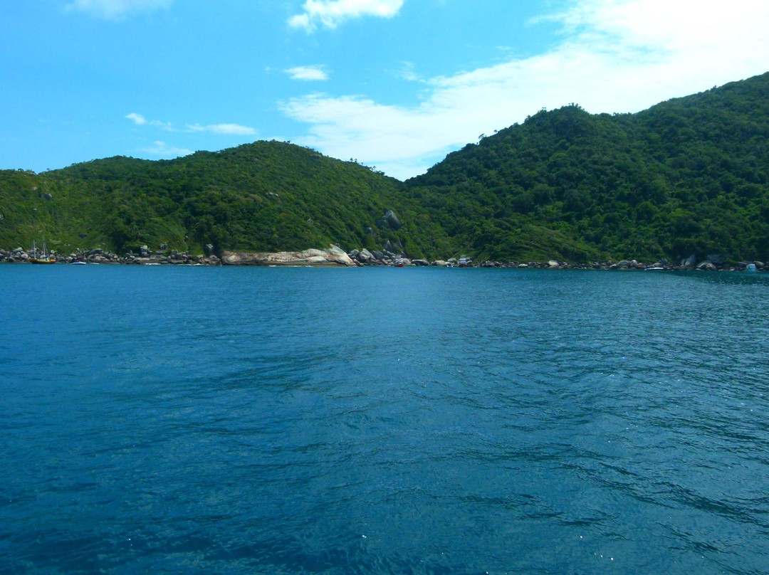 Reserva Biologica Marinha do Arvoredo景点图片