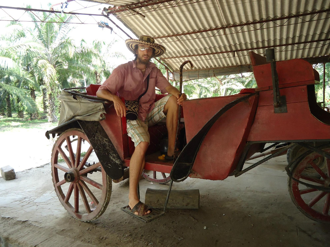 The Gypsy Residence Tours-Aracataca必去景点