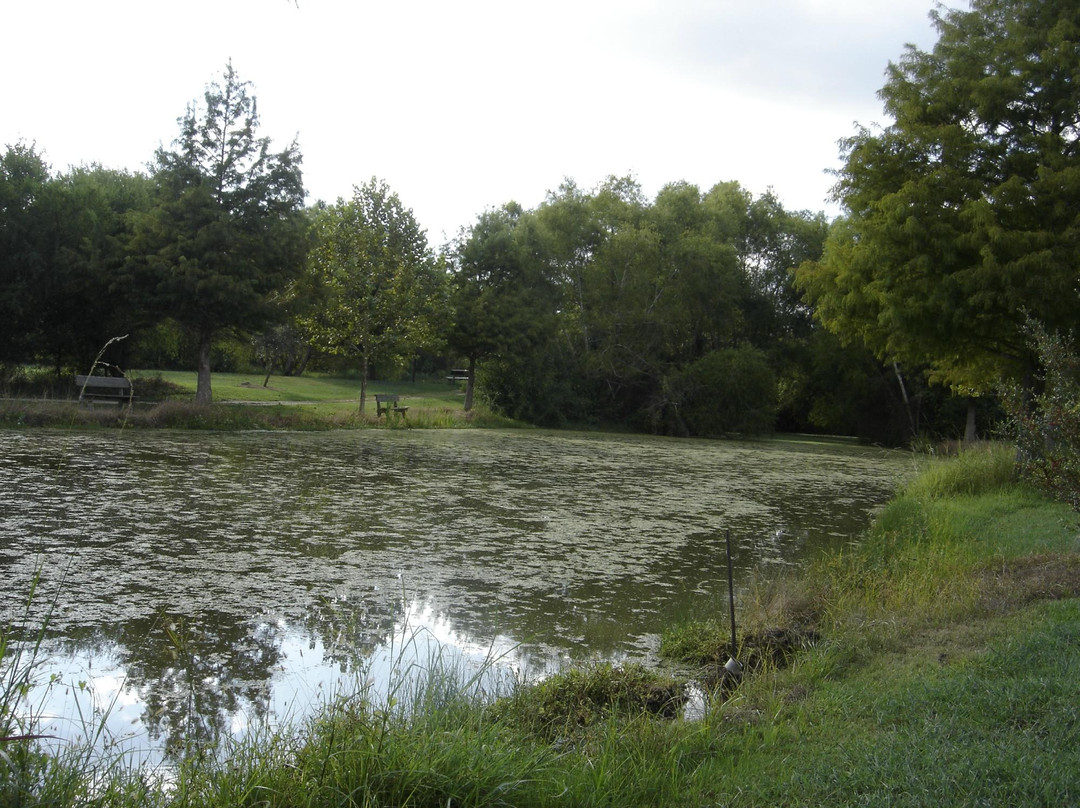 Bay City旅游攻略图片