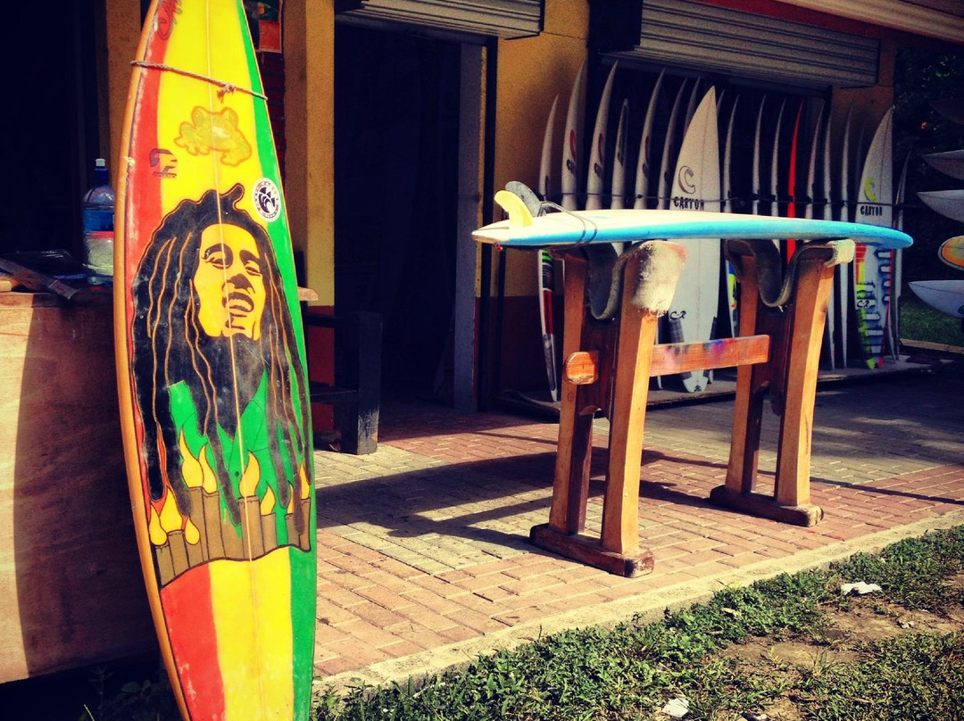 Carton the Surf Shop景点图片