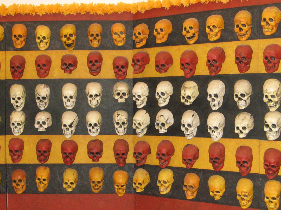 Museo de Antropologia e Historia de Baja California Sur-拉巴斯必去景点