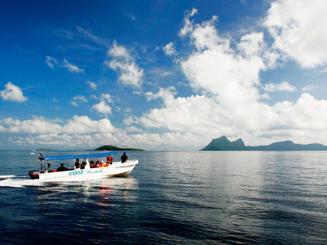 North Borneo Safari Day Tours-山打根必去景点