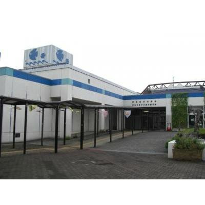 Hekinan Seaside Aquarium - Hekinan Youth Maritime Science Museum景点图片