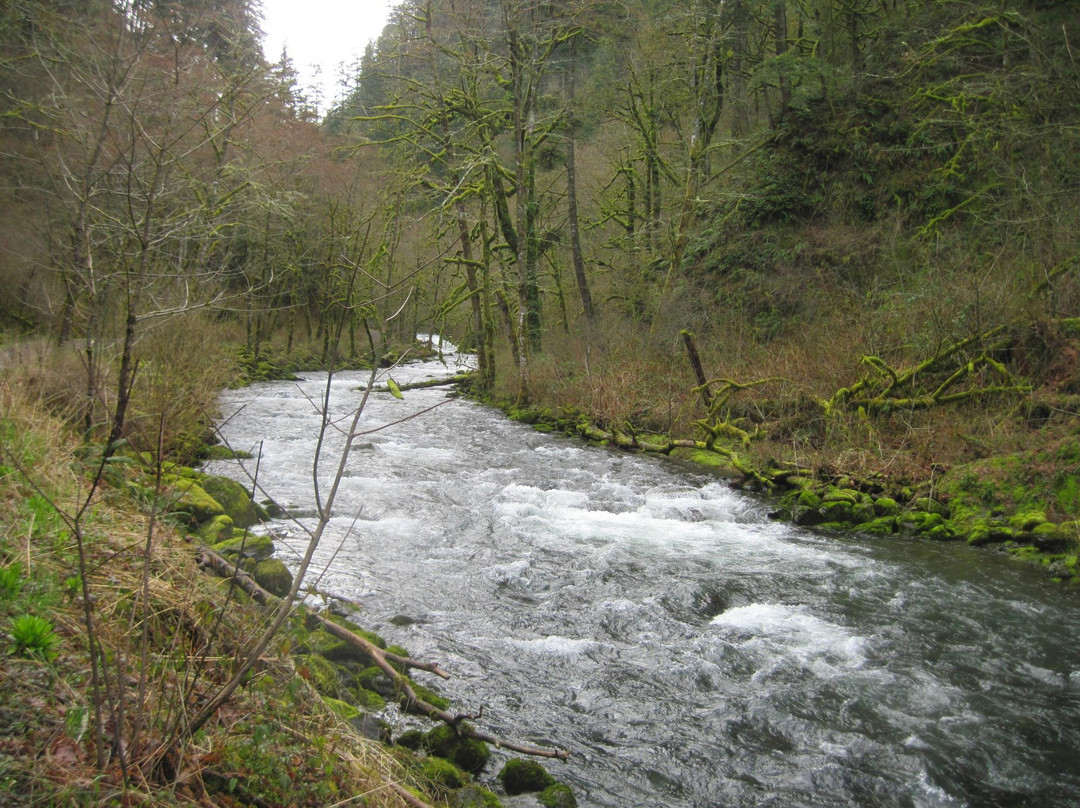 Salmon River Trail-Welches必去景点