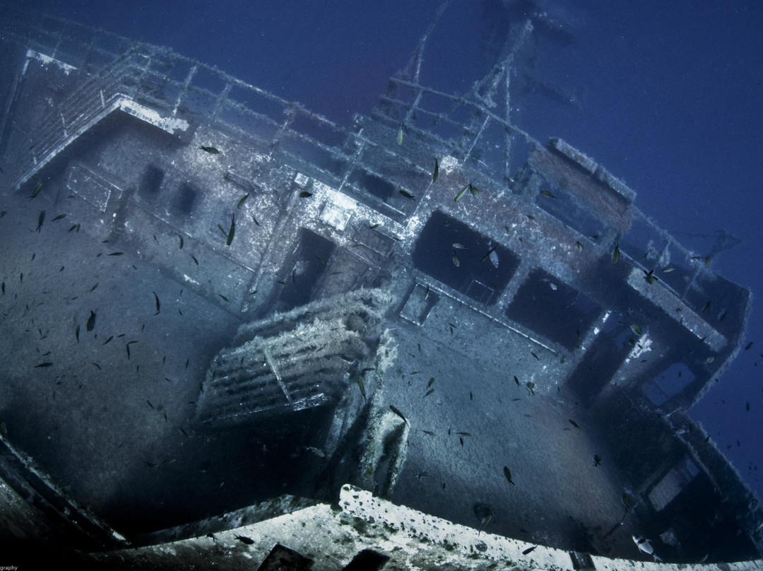 Cydive-帕福斯必去景点