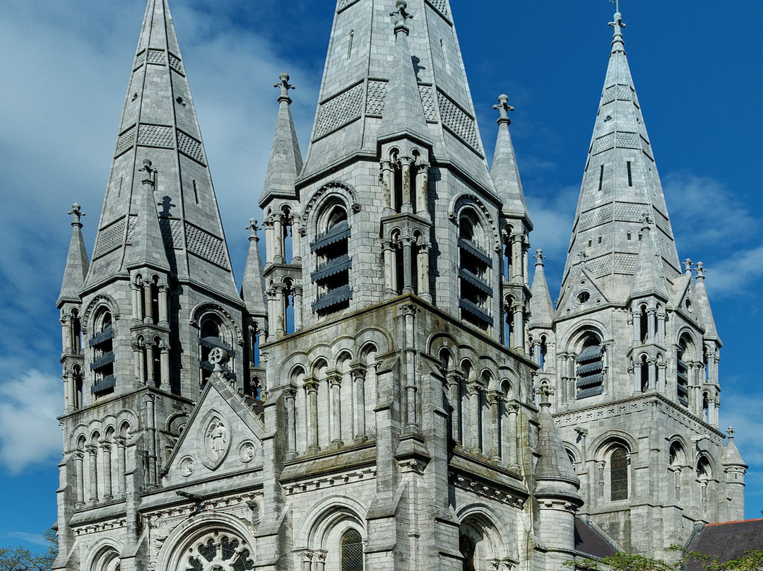 St Fin Barre's Cathedral-科克必去景点