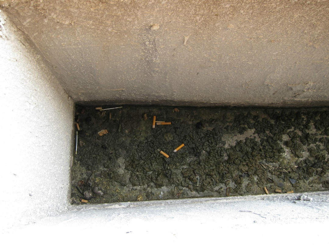 颐康温泉海景大酒店主图