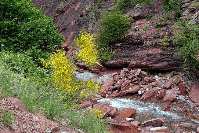 Gorges Supérieures du Cians-Alpes Maritimes必去景点