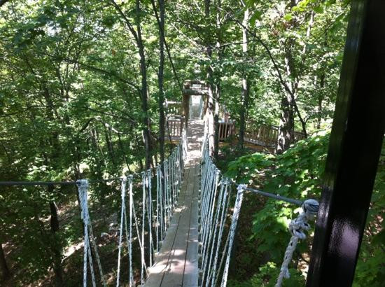 Wildwood Rush Zip Line Canopy Tour-Boyne City必去景点