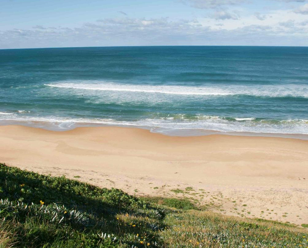 Dixon Park Beach-纽卡斯尔必去景点