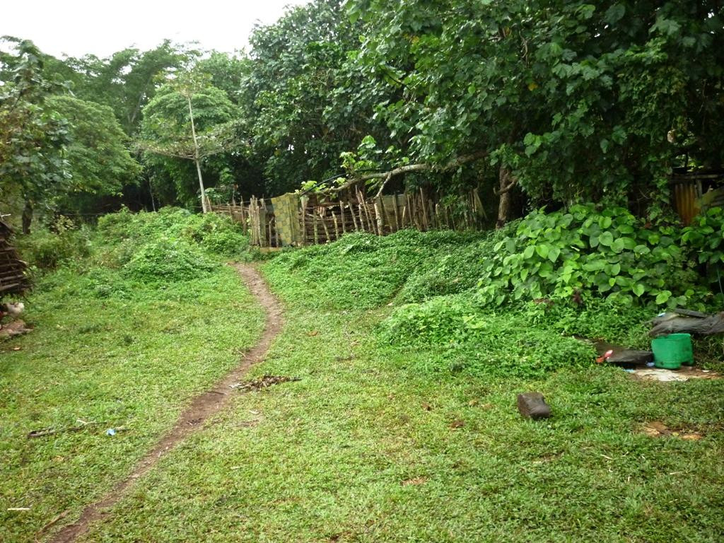 Club Hippique Adventure Park-维拉港必去景点