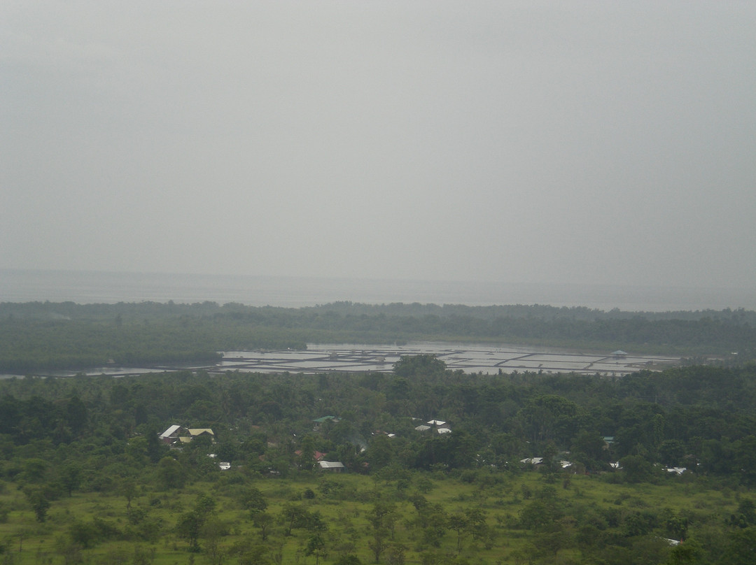 Mitra Farm景点图片