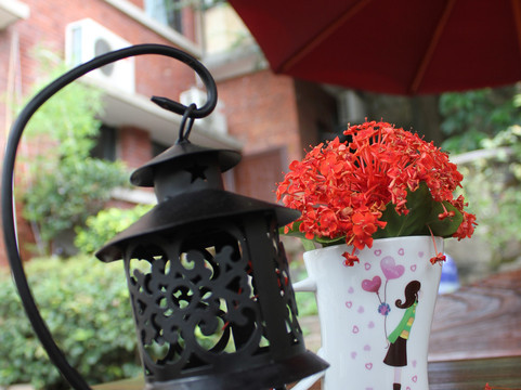 乐糖花园旅馆主图