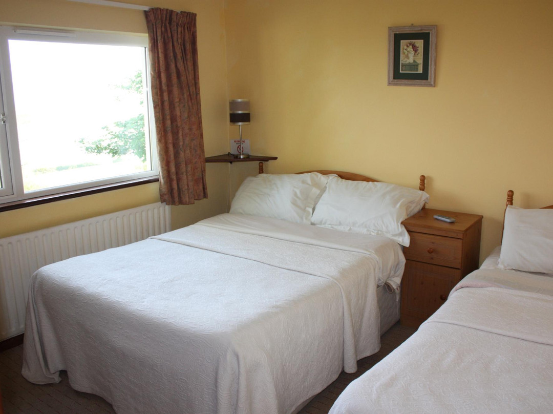 Durrus酒店住宿-Dromcloc House B&B