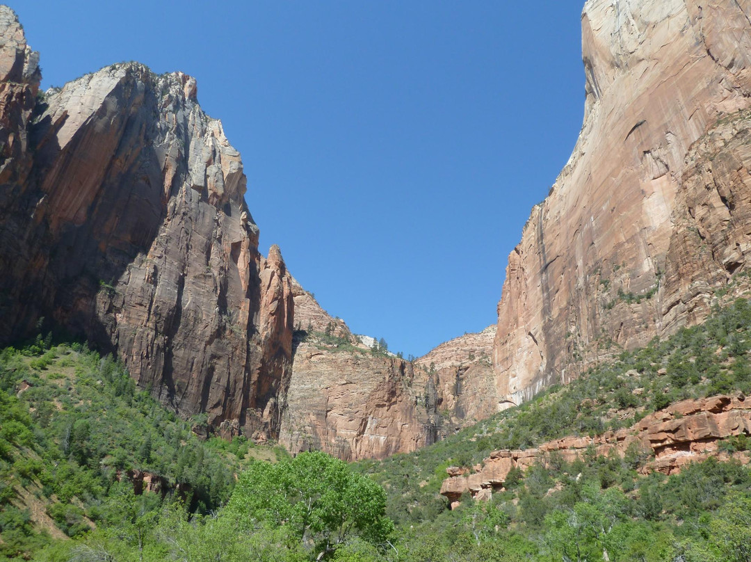 Sand Bench Trail-锡安国家公园必去景点