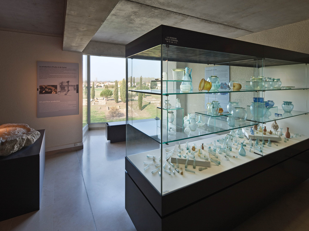Site archeologique Lattara - Musee Henri Prades-Lattes必去景点