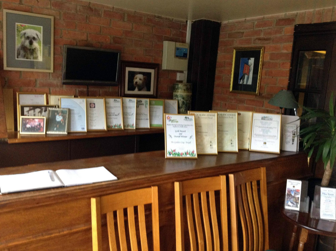 The Golden Cup主图