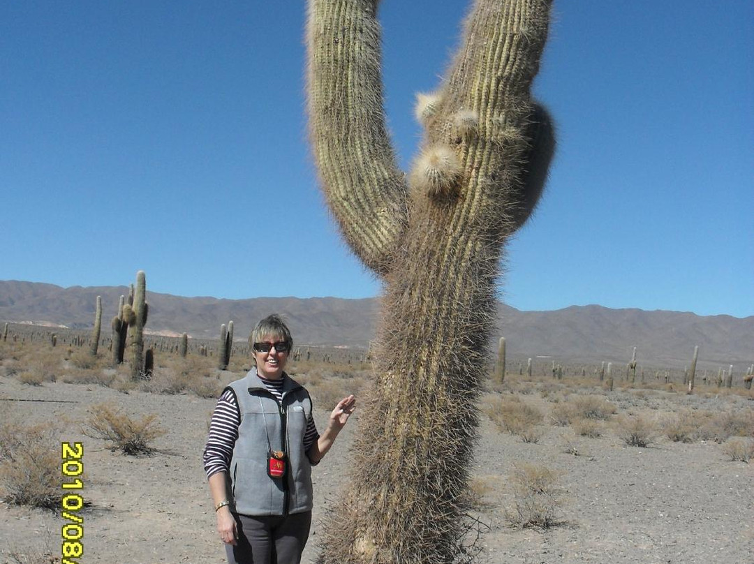 Parque Nacional Los Cardones-卡奇必去景点