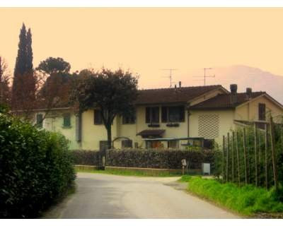 Via Dalla Pazza Folla!
