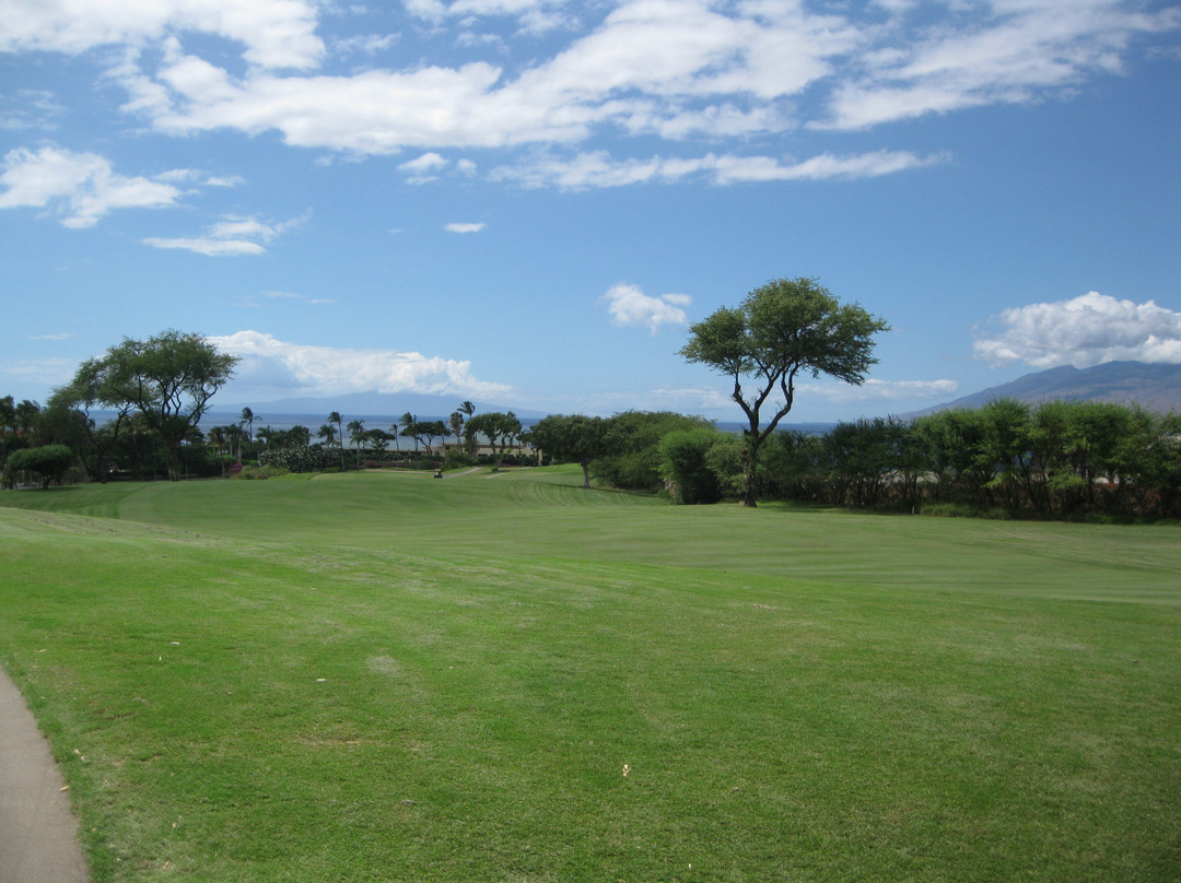 Wailea Old Blue Course-维雷亚必去景点