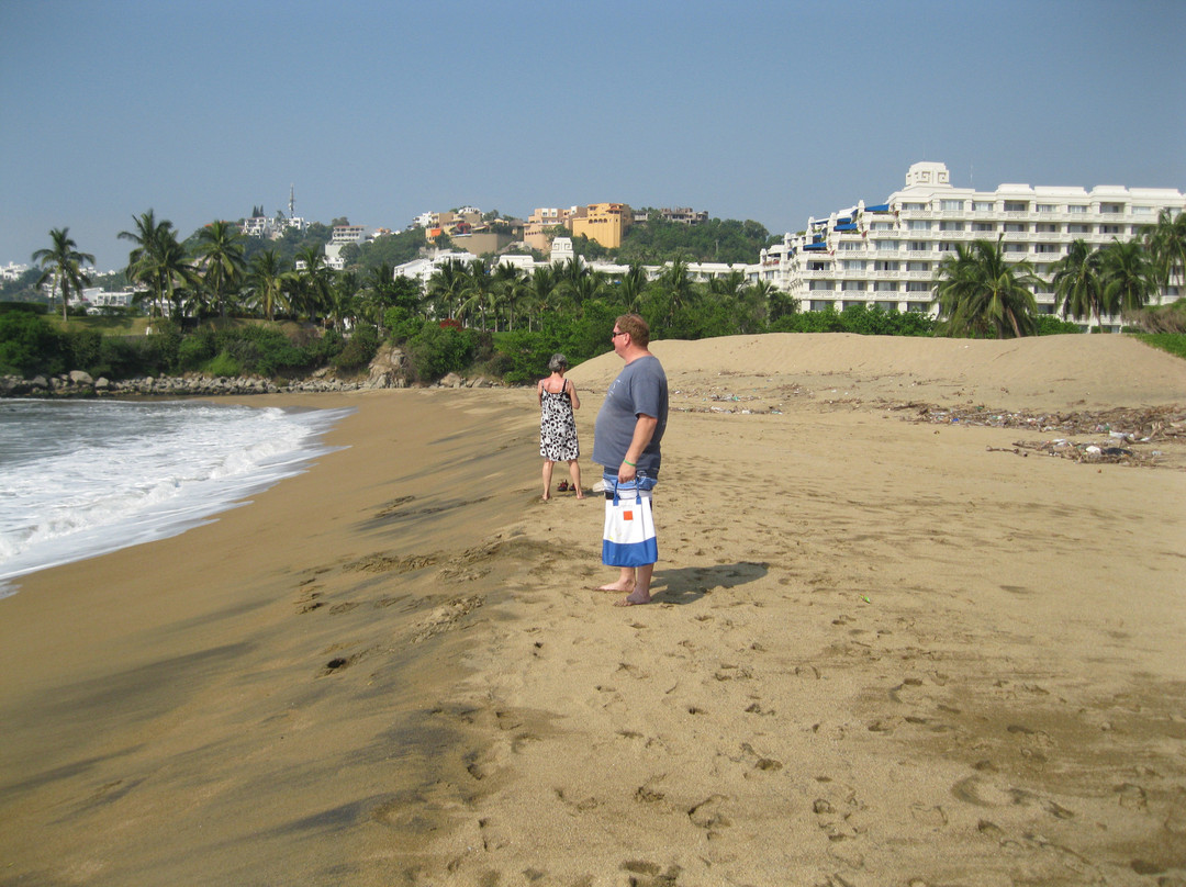 Santiago Peninsula-曼萨尼约必去景点