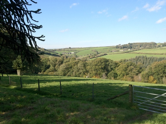 Arlington Court and the National Trust Carriage Museum景点图片