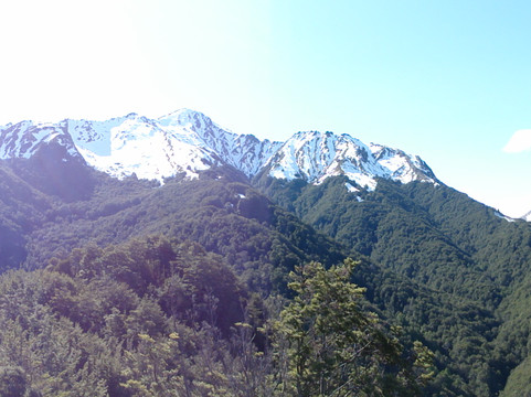 Mt Crichton Loop Track-皇后镇必去景点
