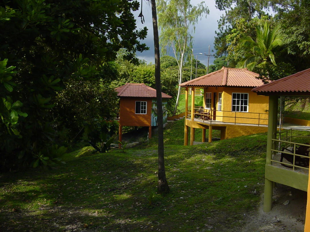 Panama Cabins