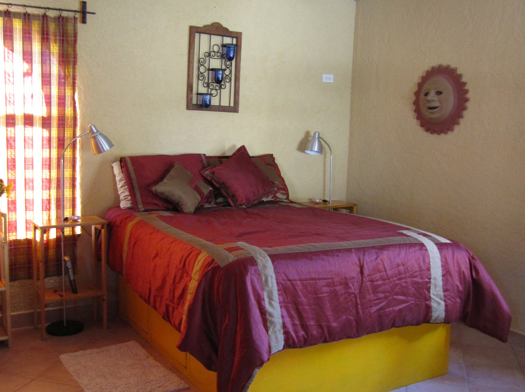 Clementines Mulege主图