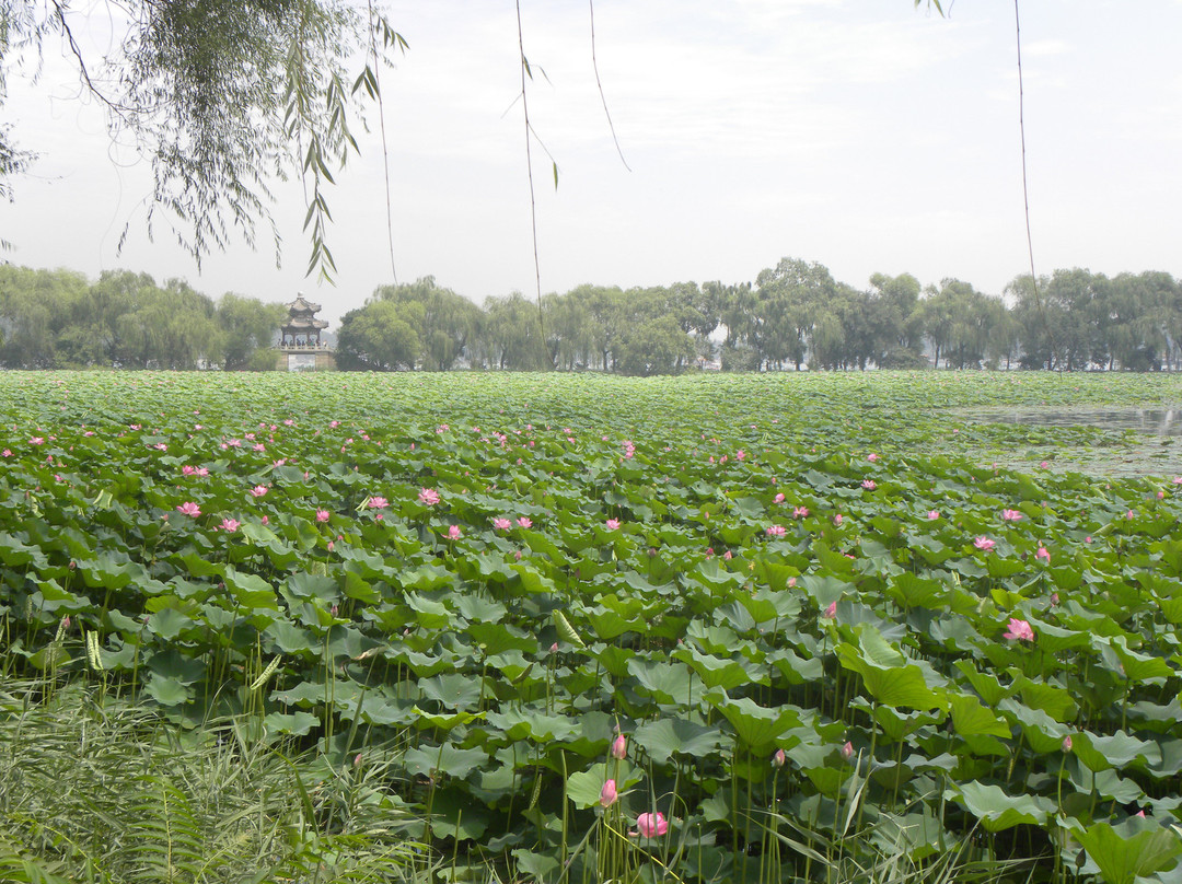 北京如家通州新华南路店主图