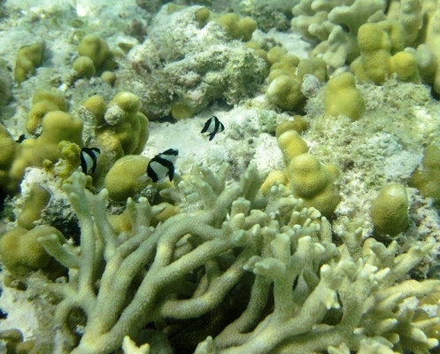 永乐群岛-西沙群岛必去景点