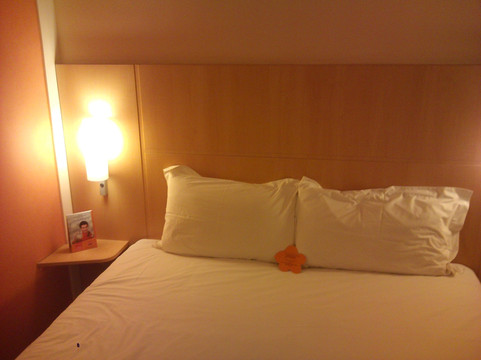 天津天纬宜必思酒店地纬路店主图