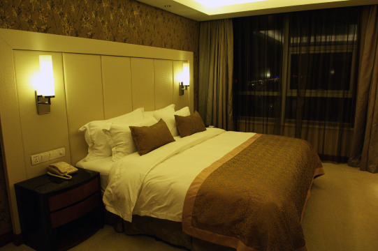 杭州海外海大酒店-客卧