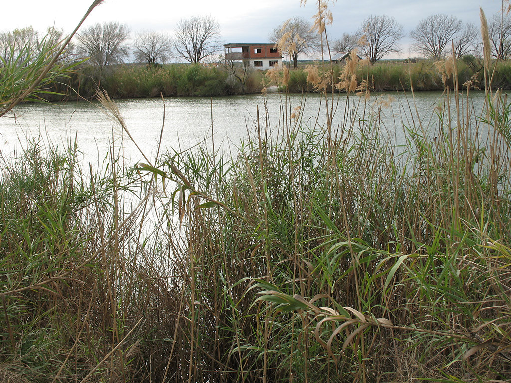 Bentsen-Rio Grande Valley State Park景点图片