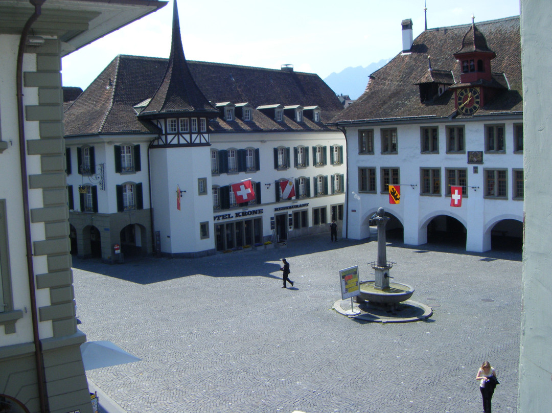 Zunfthaus zu Metzgern主图