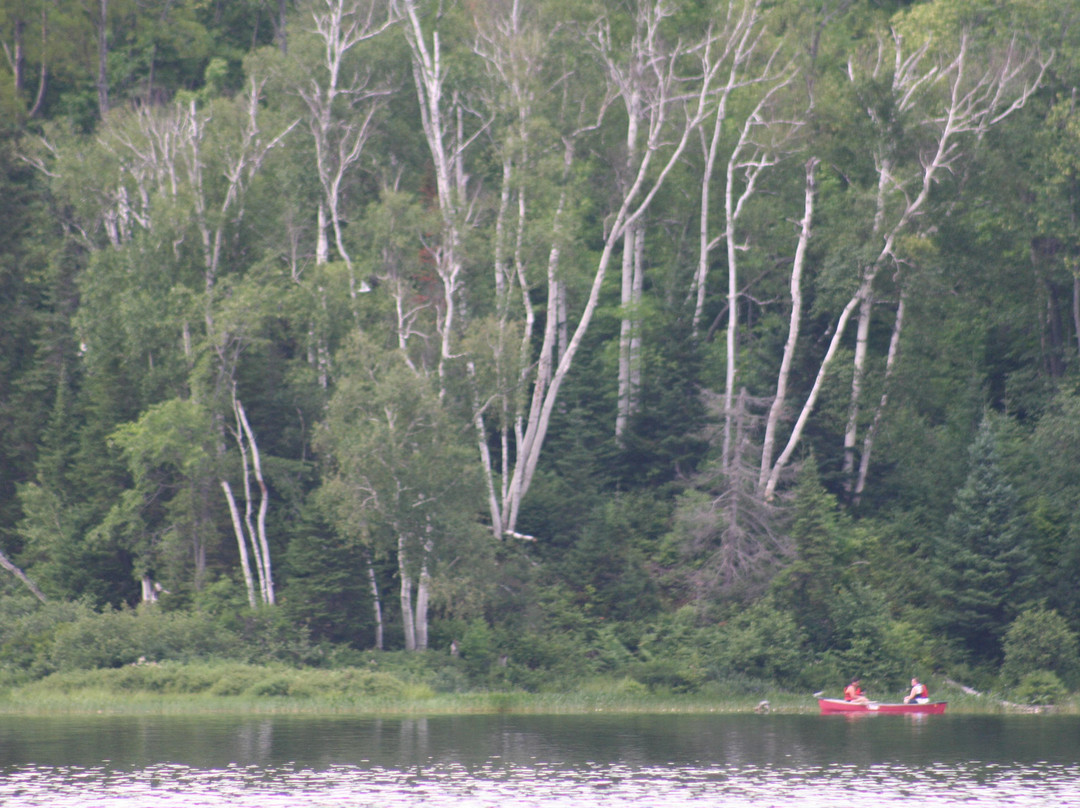 Arrowhead Provincial Park-亨茨维尔必去景点