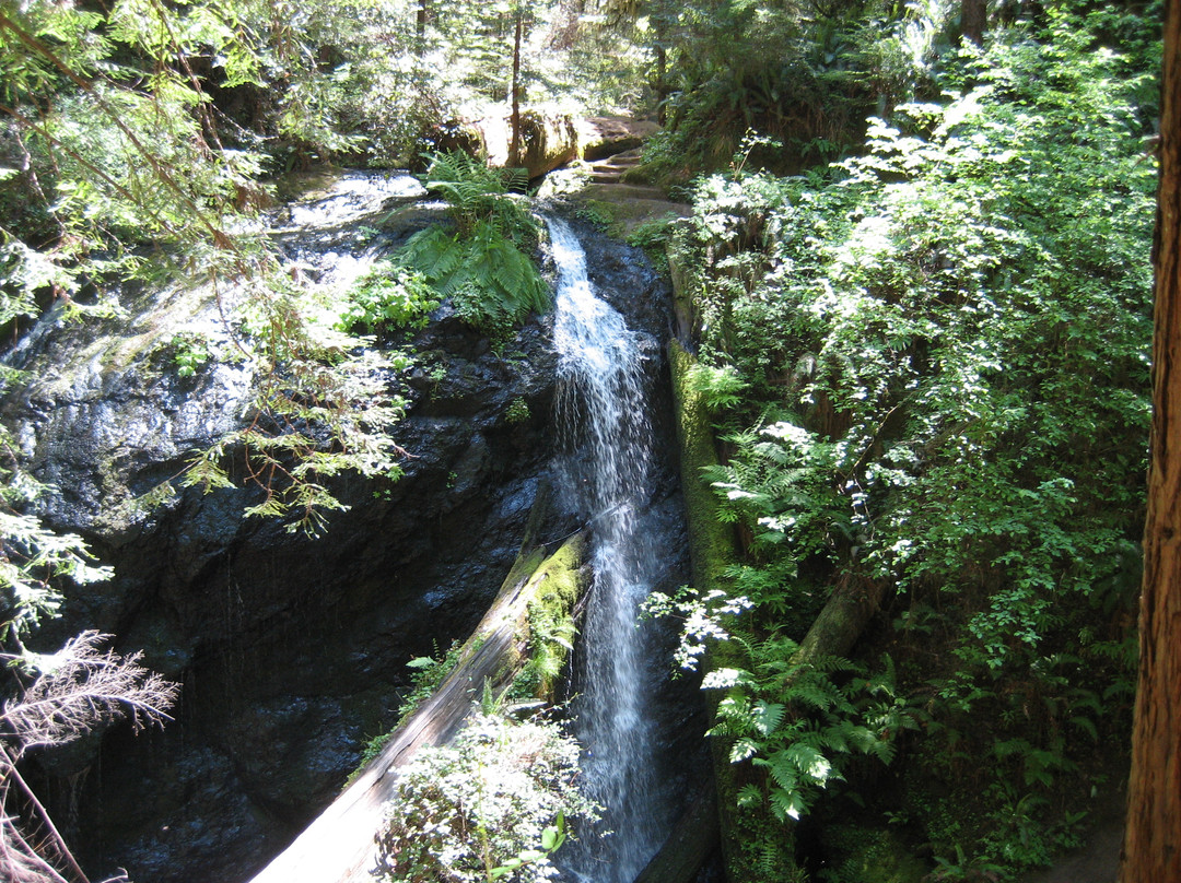 Russian Gulch State Park景点图片