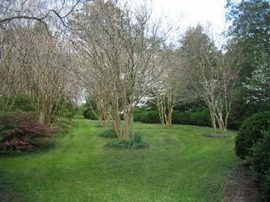 Chippokes State Park-Surry必去景点