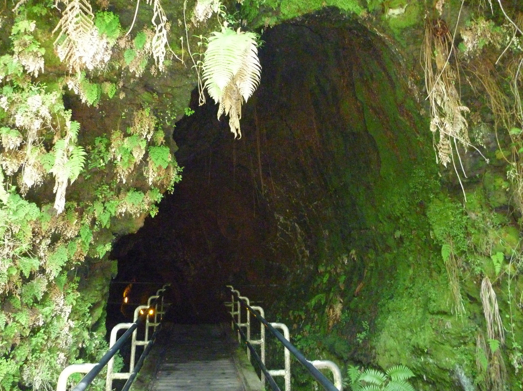 瑟斯顿熔岩隧道-夏威夷火山国家公园必去景点