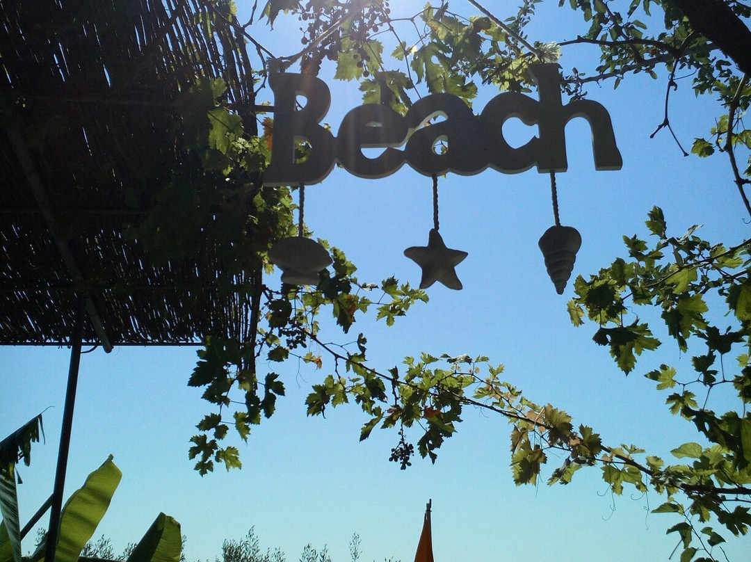 Karadi Coffee - Snack Bar